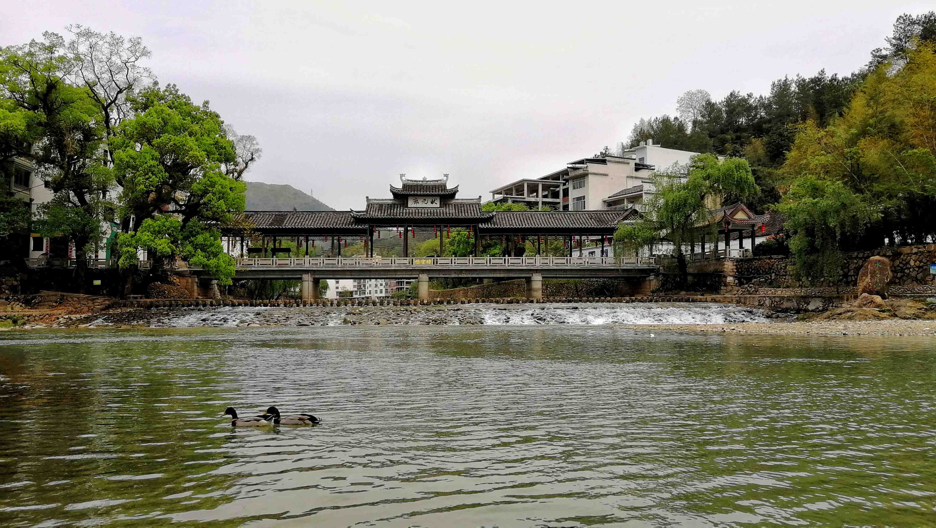 04.07 西浦村 厦门市思明区大学路154号2楼 361005 13950080581 状元.