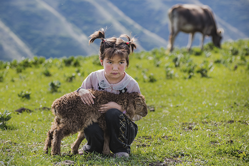 抱羊羔的小女孩