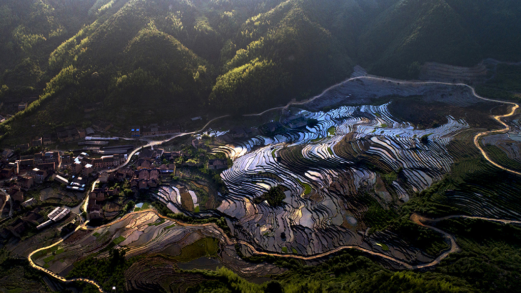 《田野之路》2018年6月拍摄于宁德古田县凤都镇石坑村