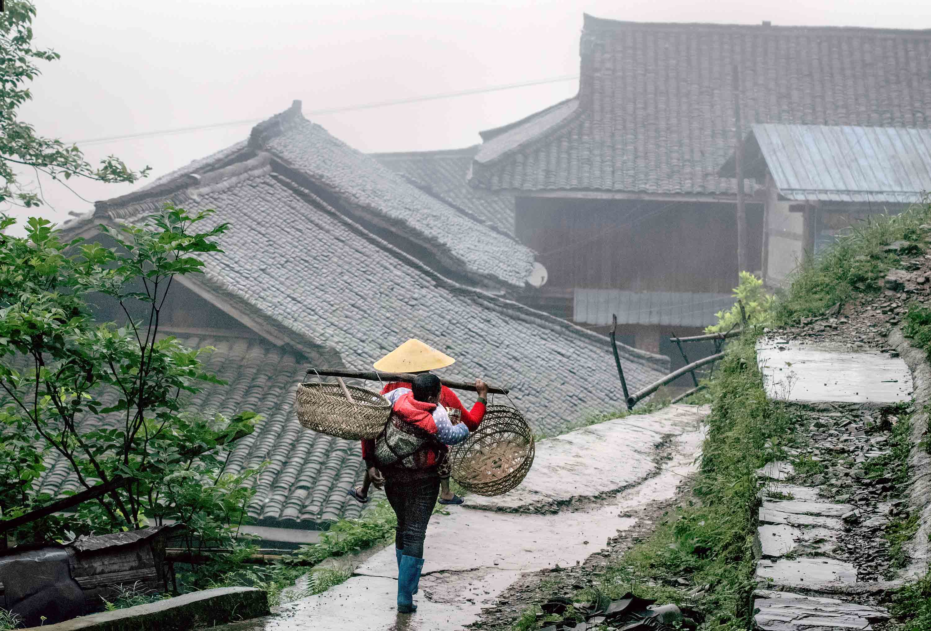 《母亲的背影》