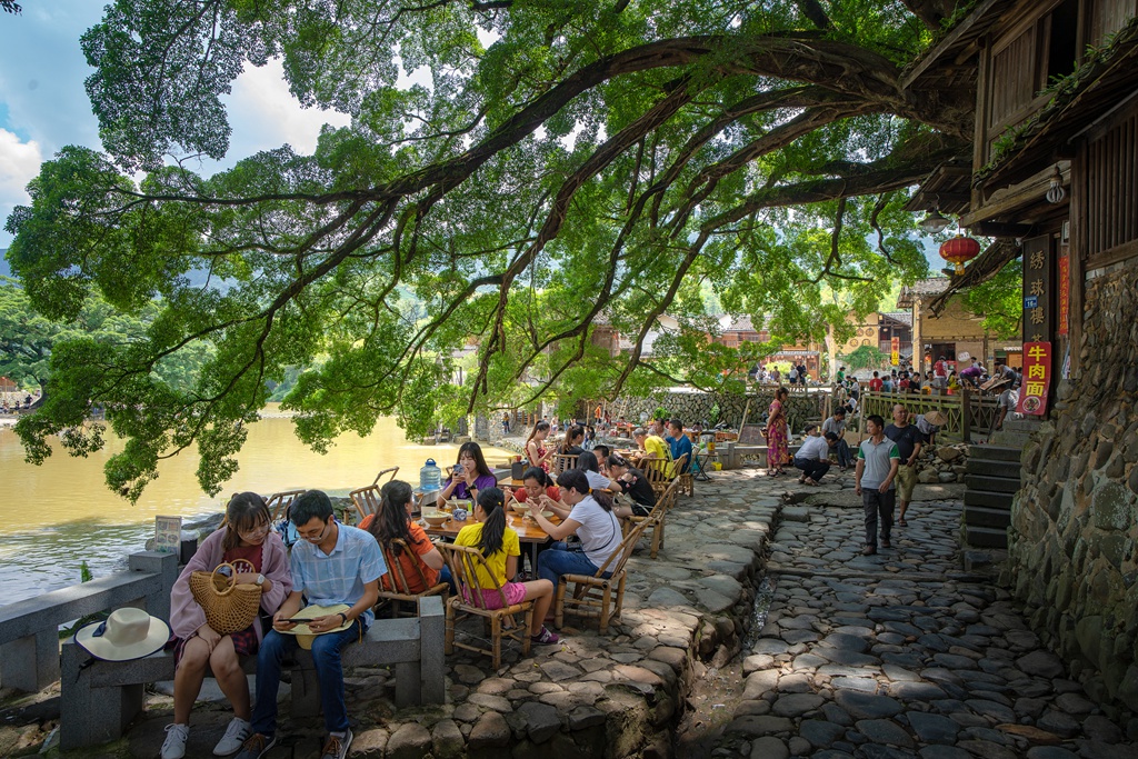 大树底下好乘凉