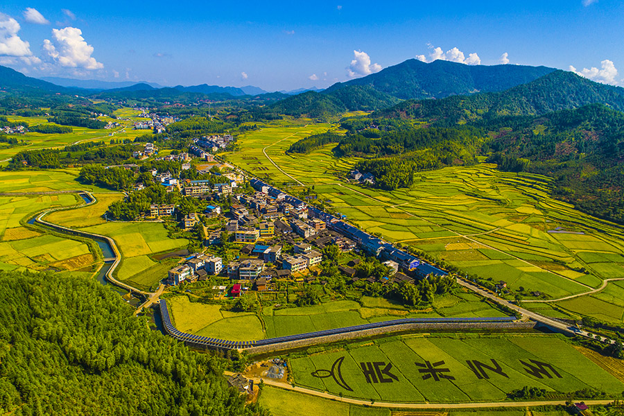 2018年9月摄于宁化县河龙乡,该乡系历史著名的河龙贡米之乡.