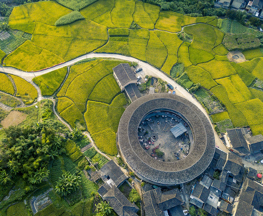 土楼的秋天,金黄的稻子环绕在土楼周边,像是为土楼装点上金色的秋装