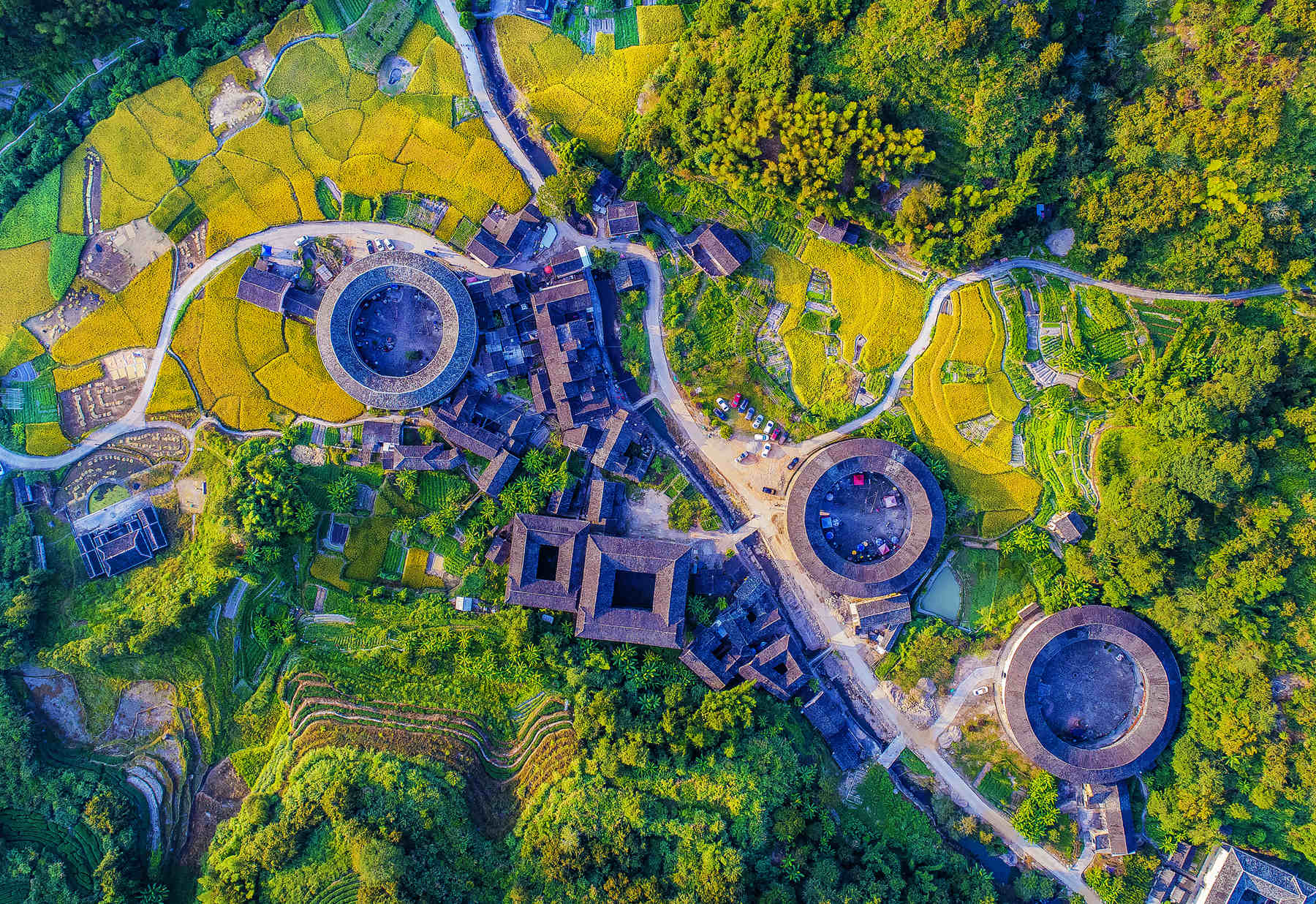 河坑土楼群秋色