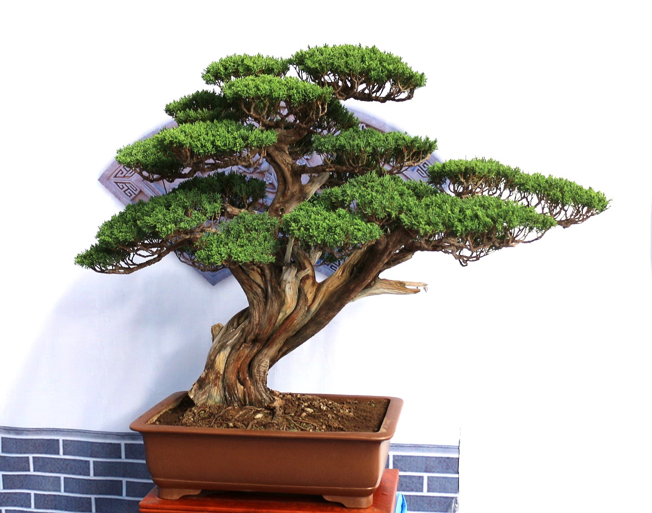 69 孺子黄牛 69 相册  上传于 2018-10-17 14:31 (305 kb)  文件