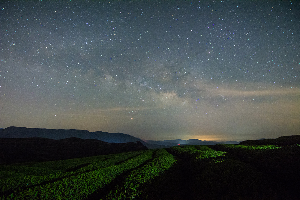 茶园星空