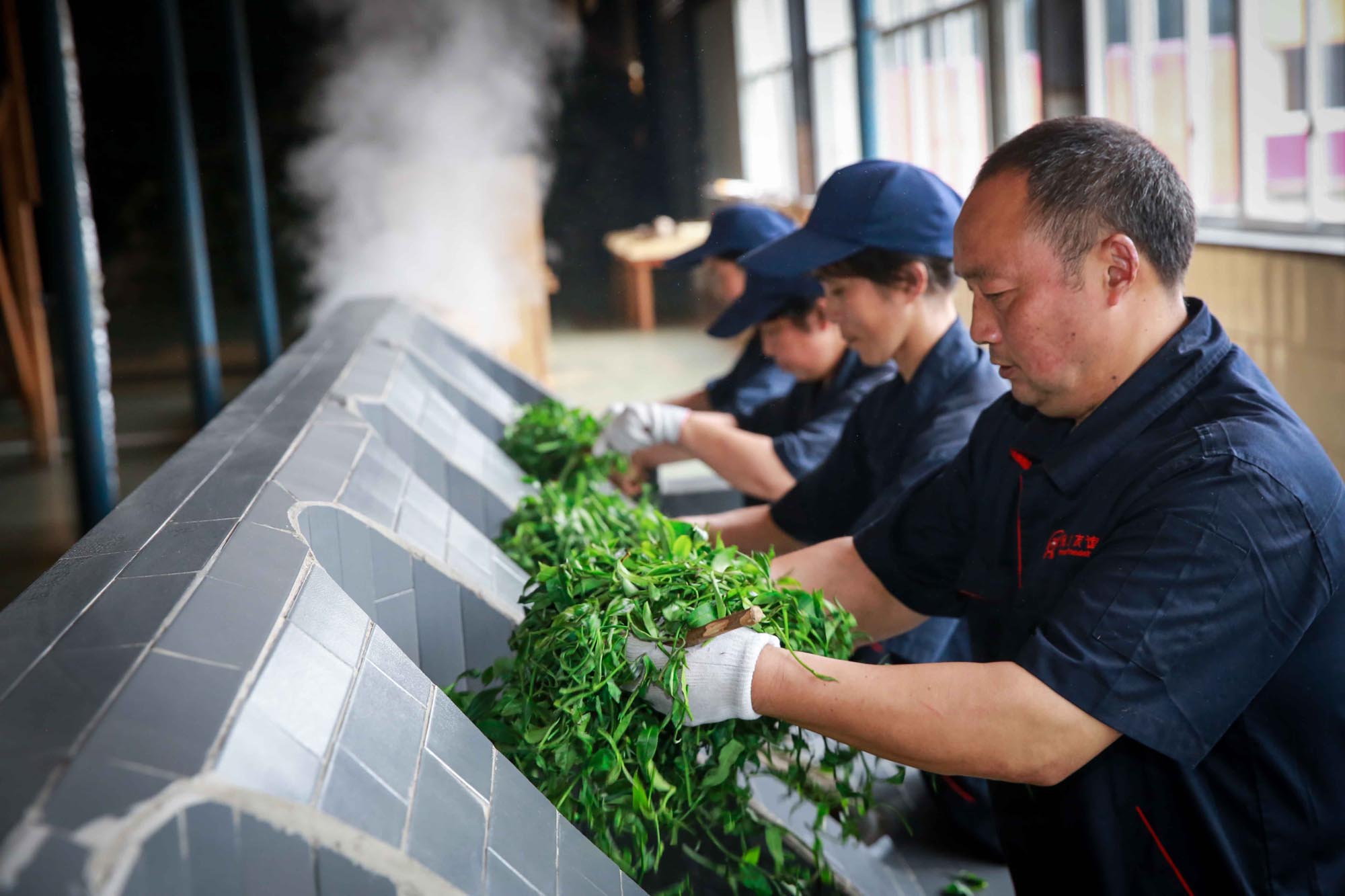 由"绿"变"黑"的神奇——藏茶制作过程(组图)-藏茶之路——全国摄影大