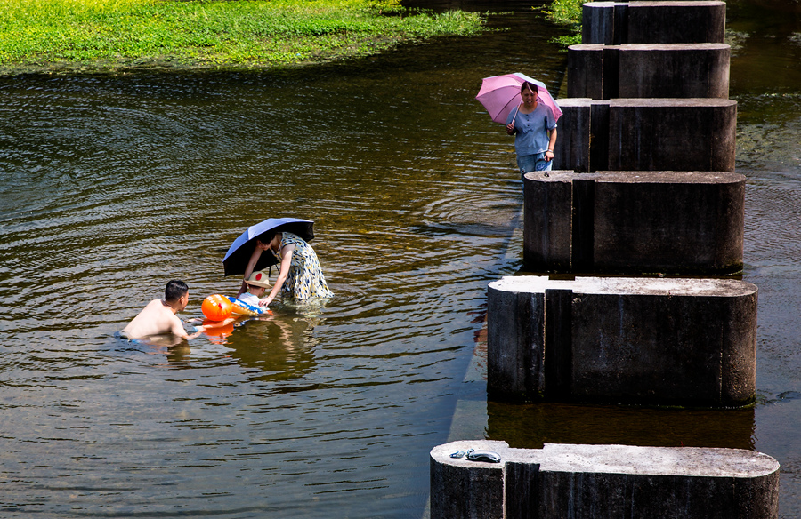 河水清清,一家人在河里游泳.