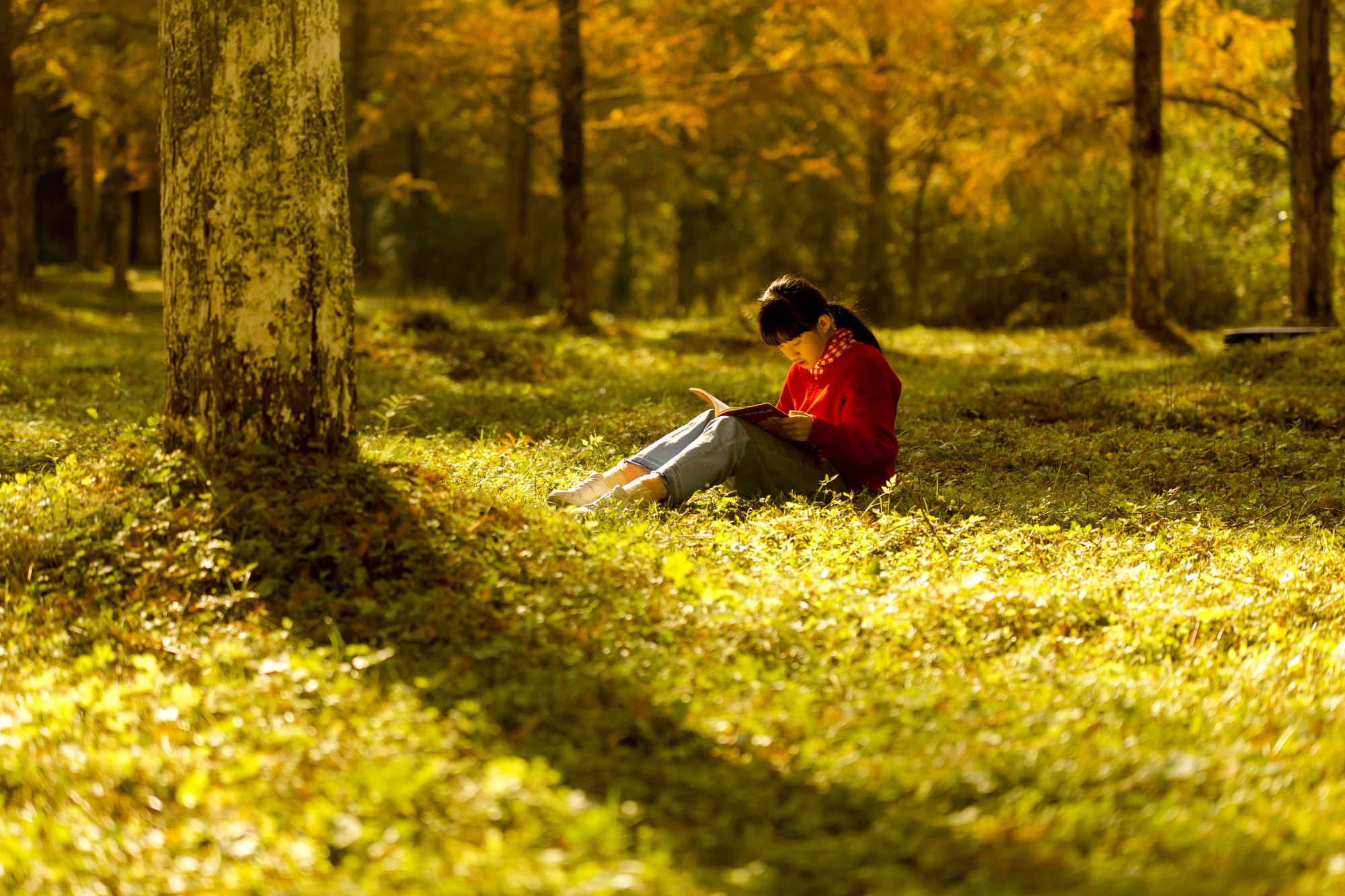 树木树人-《大众摄影》俱乐部团体会员——湖北论坛俱乐部(4星)-大众