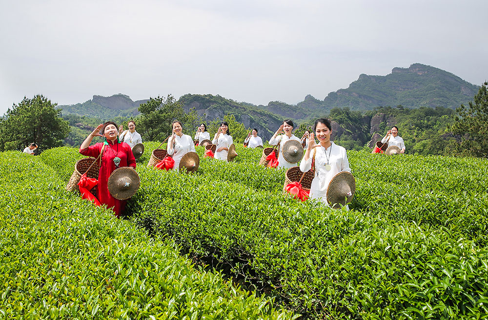 武夷山中"喊山人"