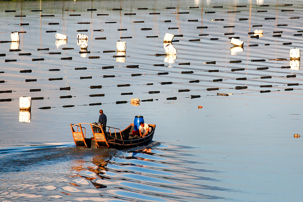 赶海-"难忘下党杯"第十届宁德好风光全国摄影艺术展投稿区-大众摄影网