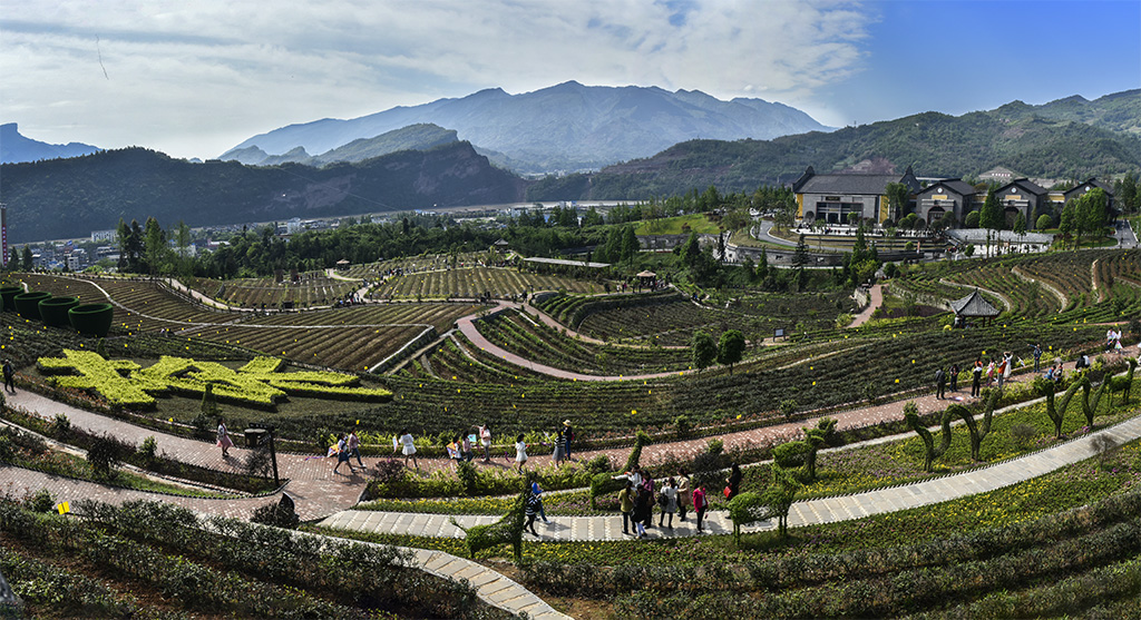 中国藏茶村(组照)