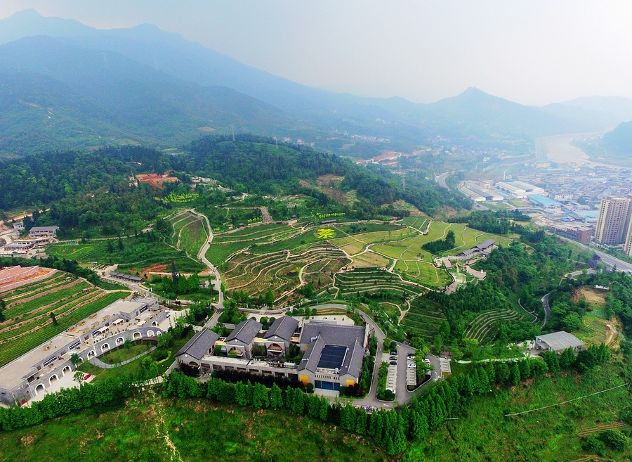 四川雅安藏茶村