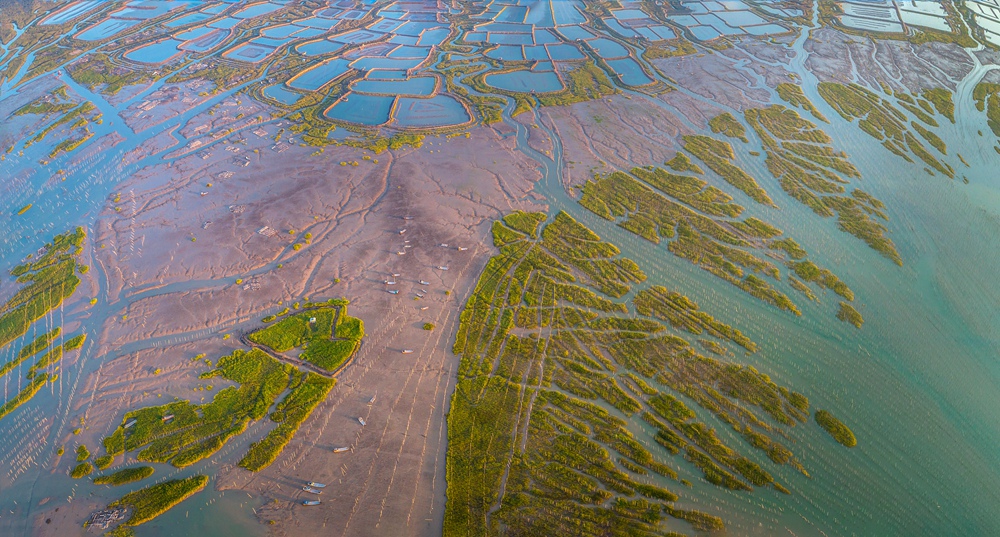 生态滩涂-"东吾宝岛 魅力竹江" 首届中国(霞浦竹江)渔耕文化全国摄影