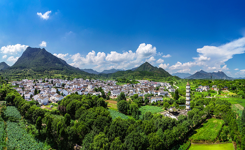 绿色新叶村风采