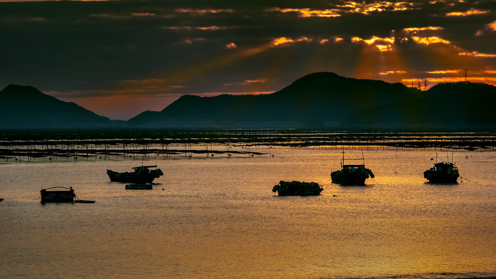 2018年11月24日拍摄于福建省霞浦县沙江镇.