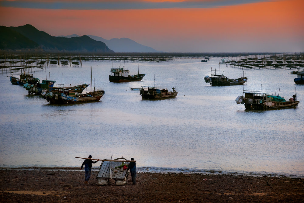 2018年11月24日拍摄于福建省霞浦县沙江镇.