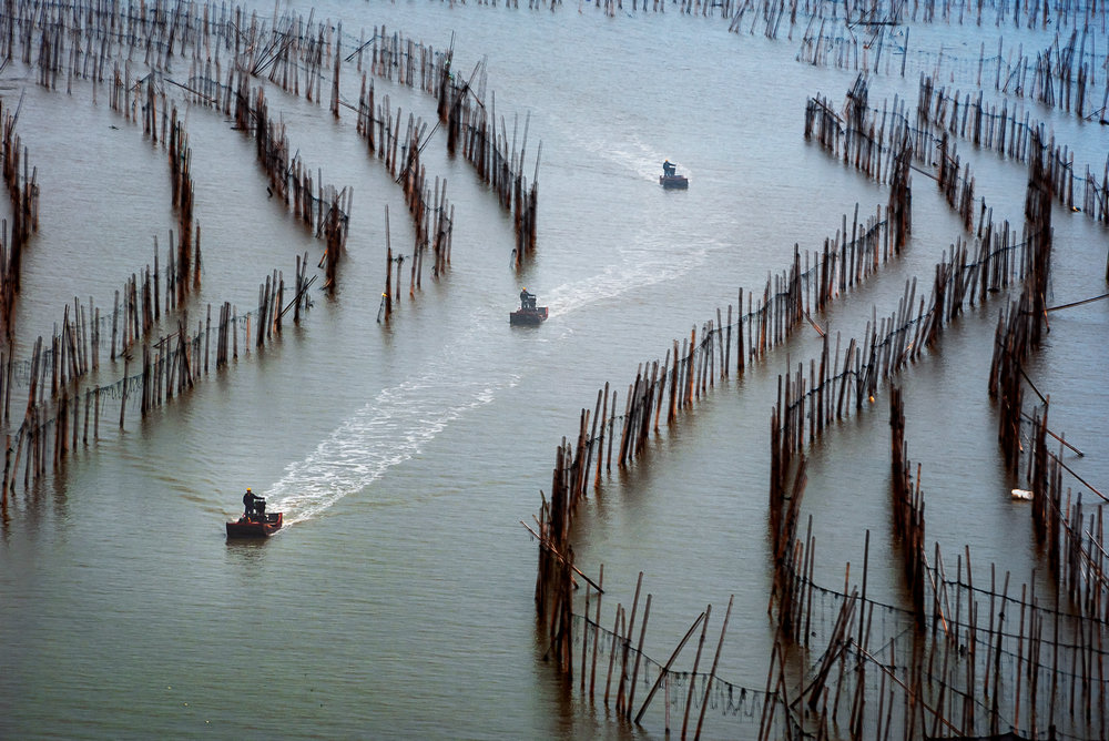 2018年11月23日拍摄于福建省霞浦县沙江镇.