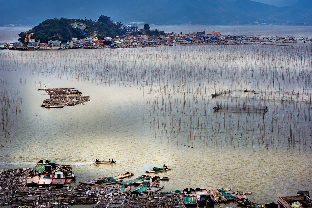 2018年11月23日拍摄于福建省霞浦县沙江镇.