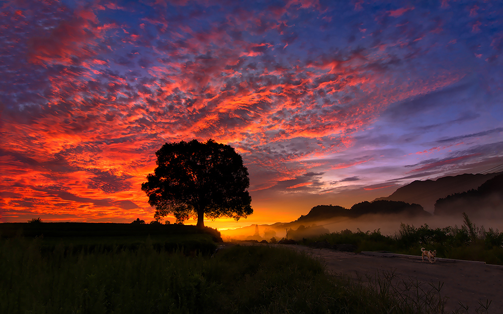 建德之江,美丽的朝霞