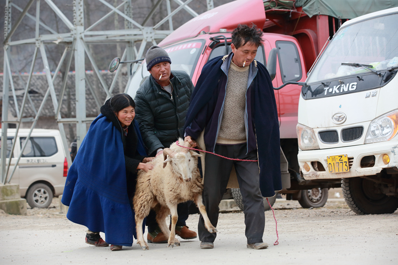 牵羊-《大众摄影》俱乐部团体会员——广东论坛俱乐部(3星)-大众摄影