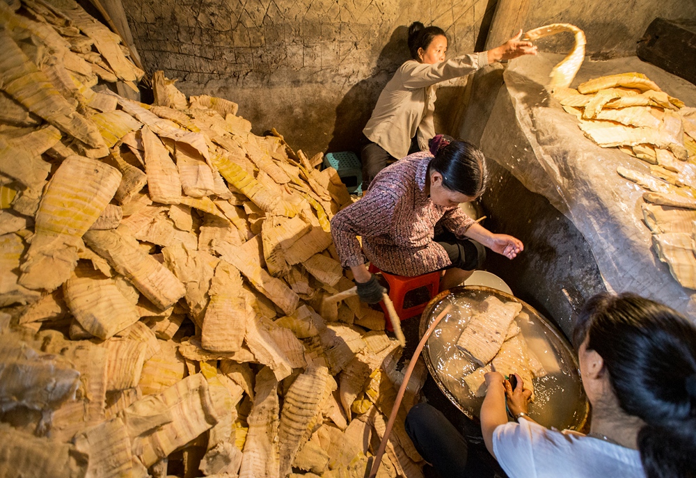 【传统笋干制作】