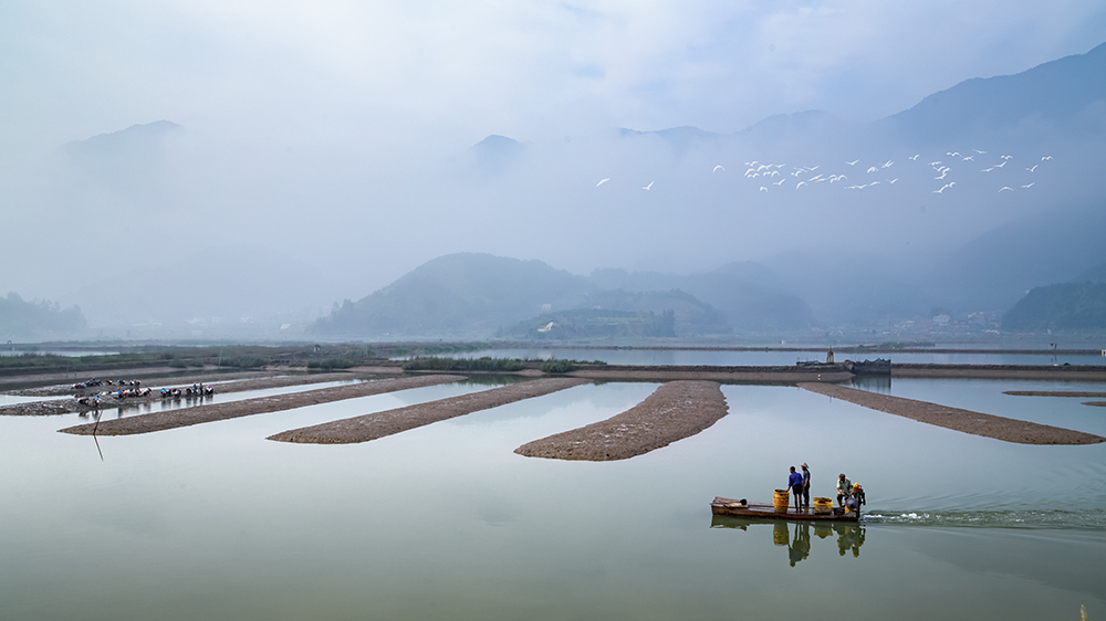 2015年6月8日拍摄于福建省霞浦县沙江镇.