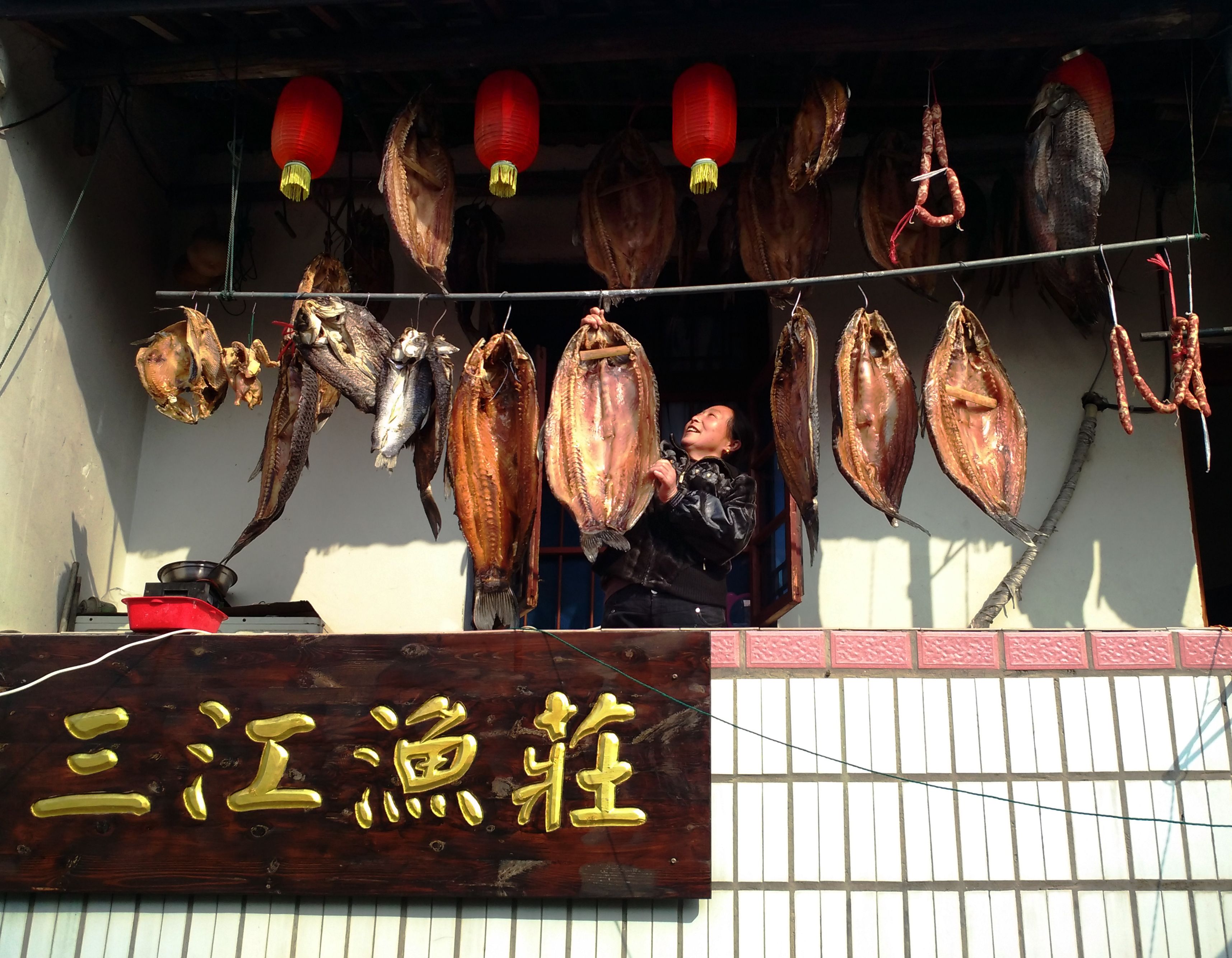 年底了,丰收的渔民在晒鱼干.