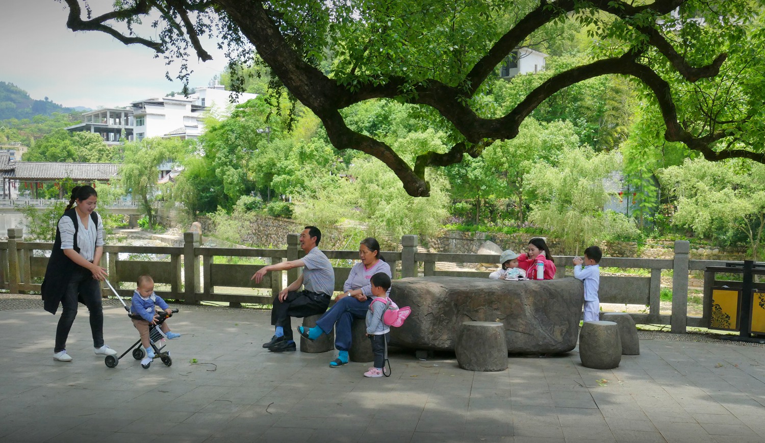 《大树底下好乘凉》