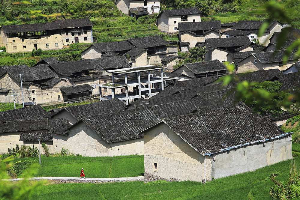 《村里的"红人"》,拍摄地点:寿宁县平溪镇上屏峰村,拍摄时间:2018.7.