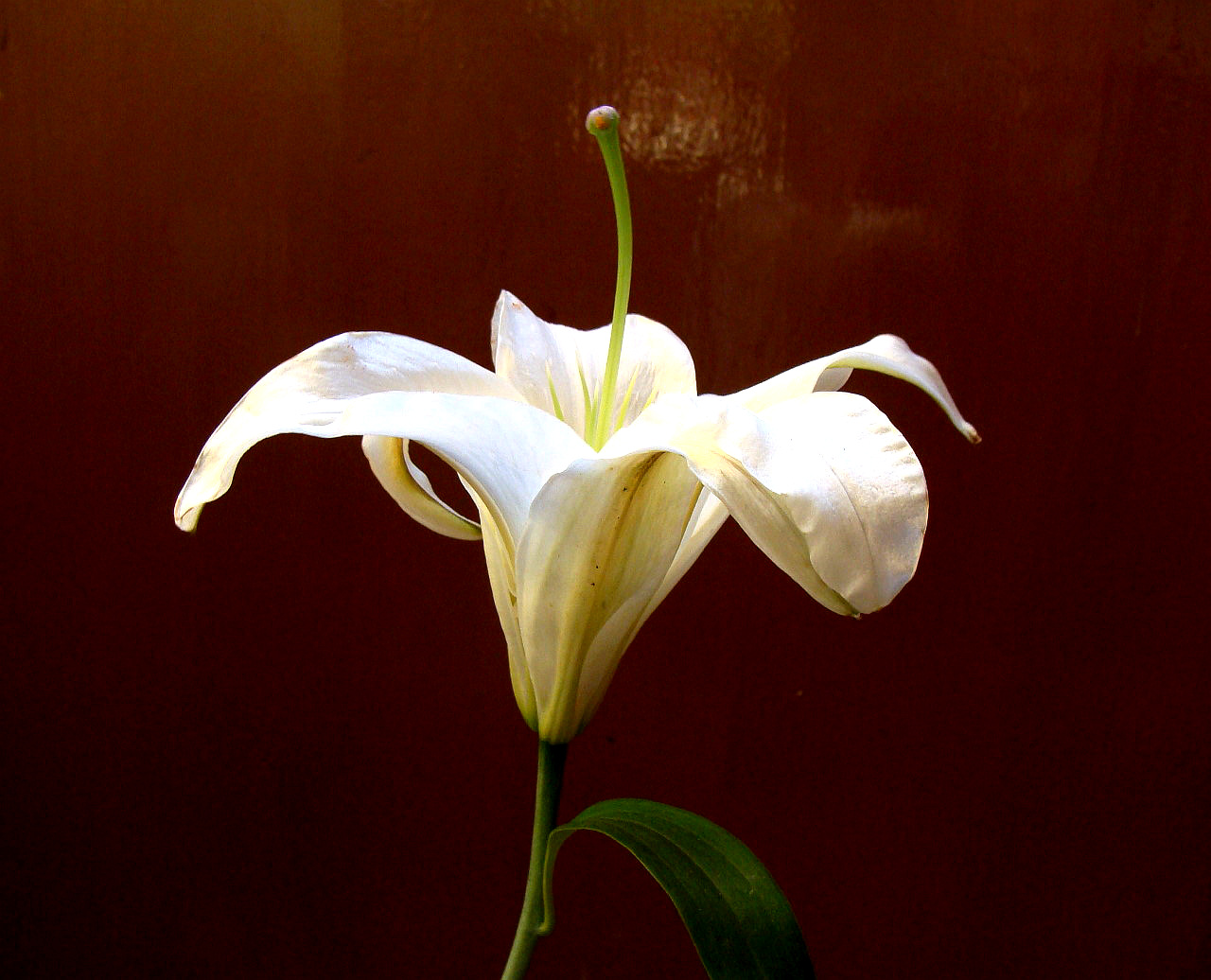 风光照片 - 大众摄影网