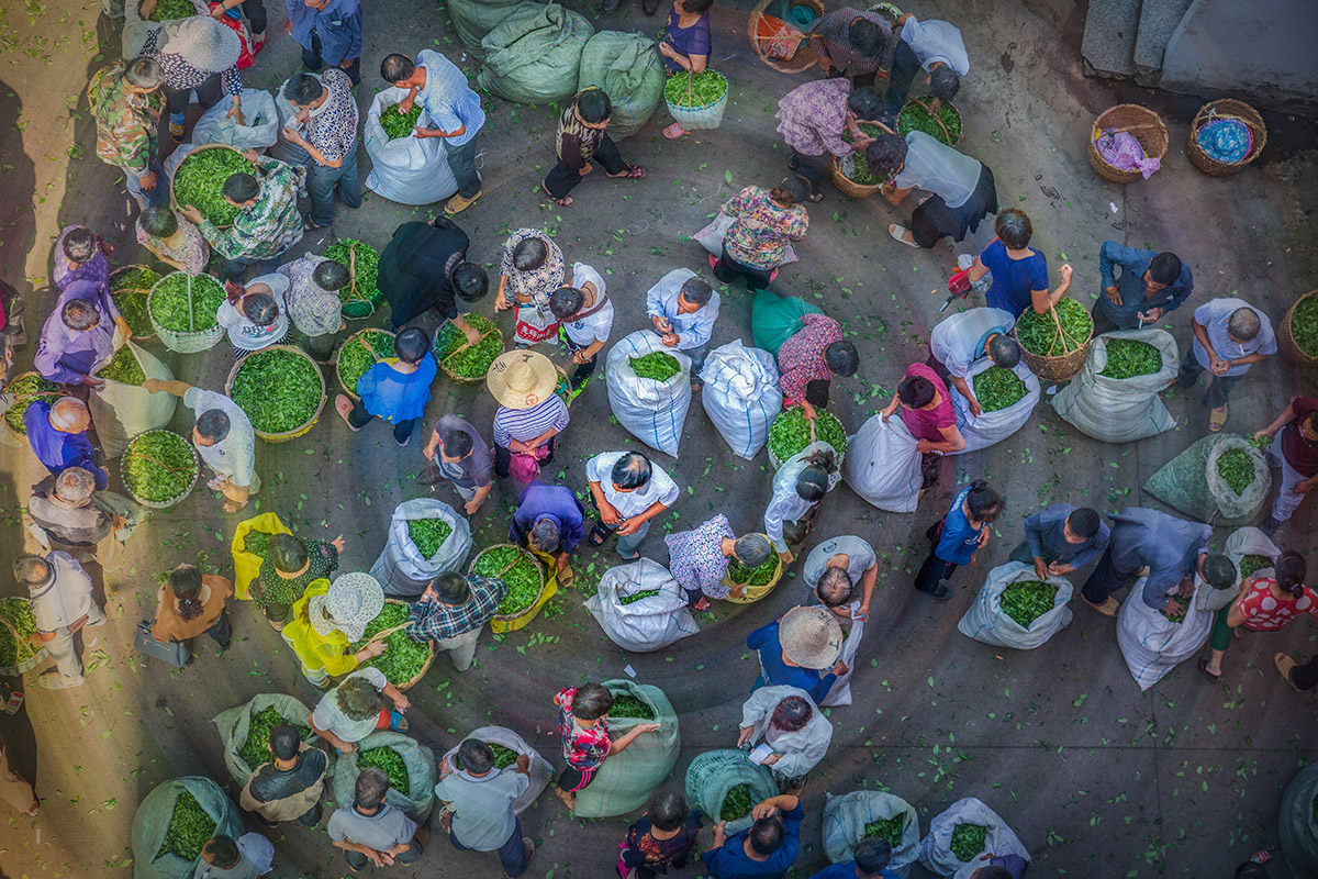 《茶商》2016.09.26摄于福建宁德