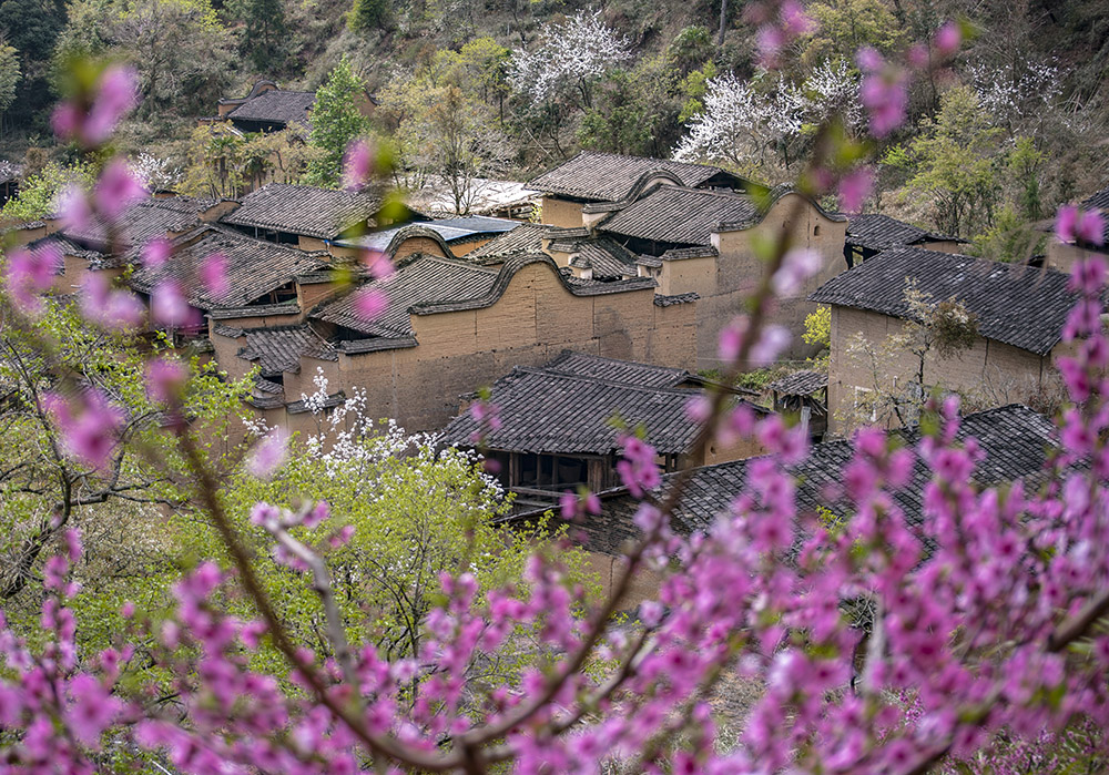 在那桃花盛开的地方 屏南县梧洋村.jpg