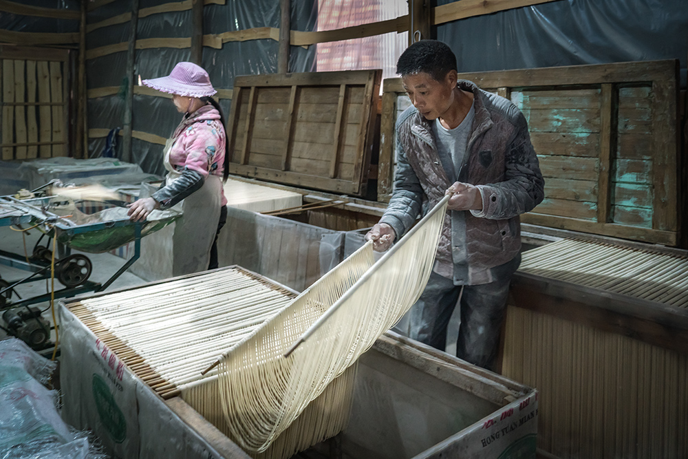 《苏堤线面》(组照2)