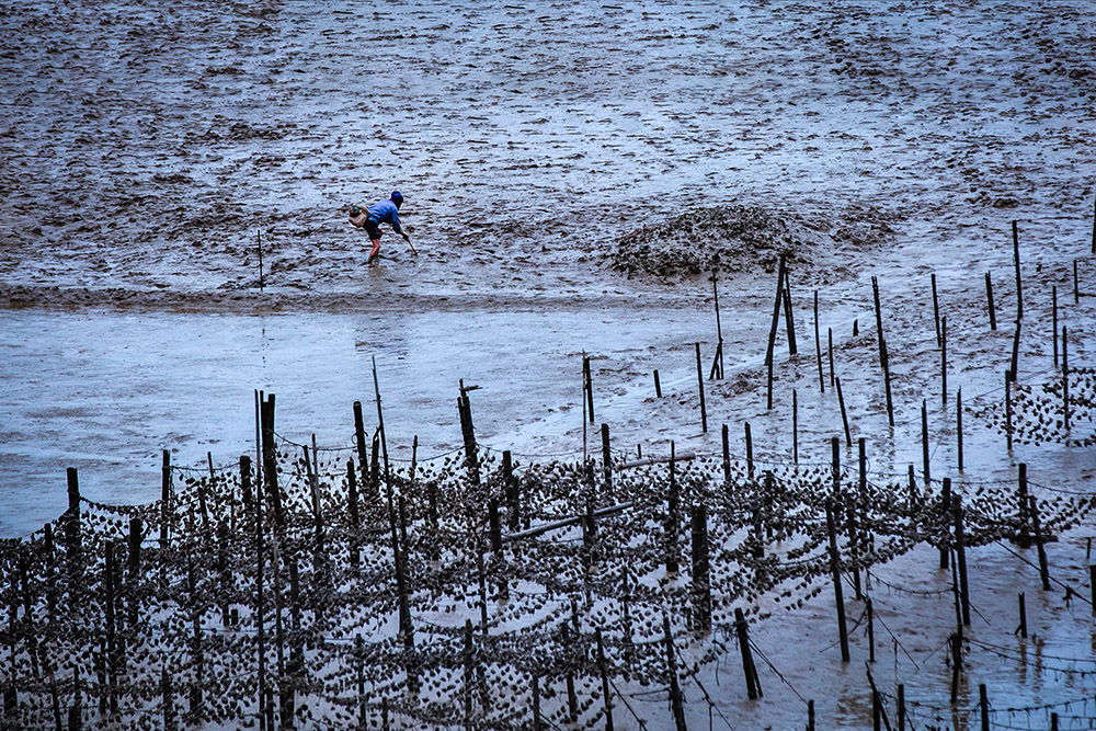 《赶海人》-"难忘下党杯"第十届宁德好风光全国摄影艺术展投稿区-大众