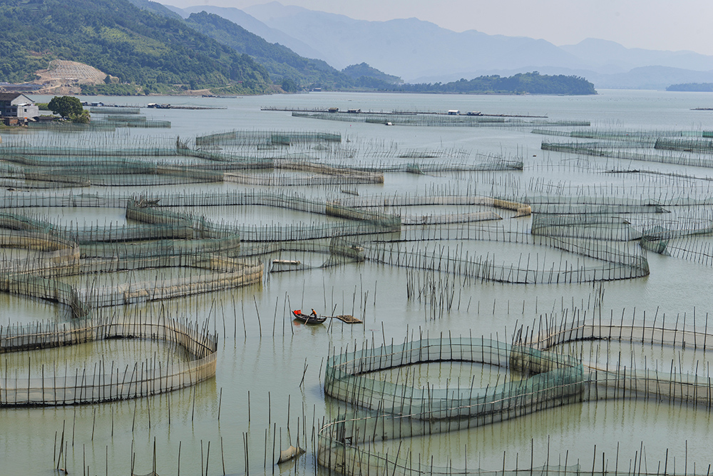 滩涂养殖