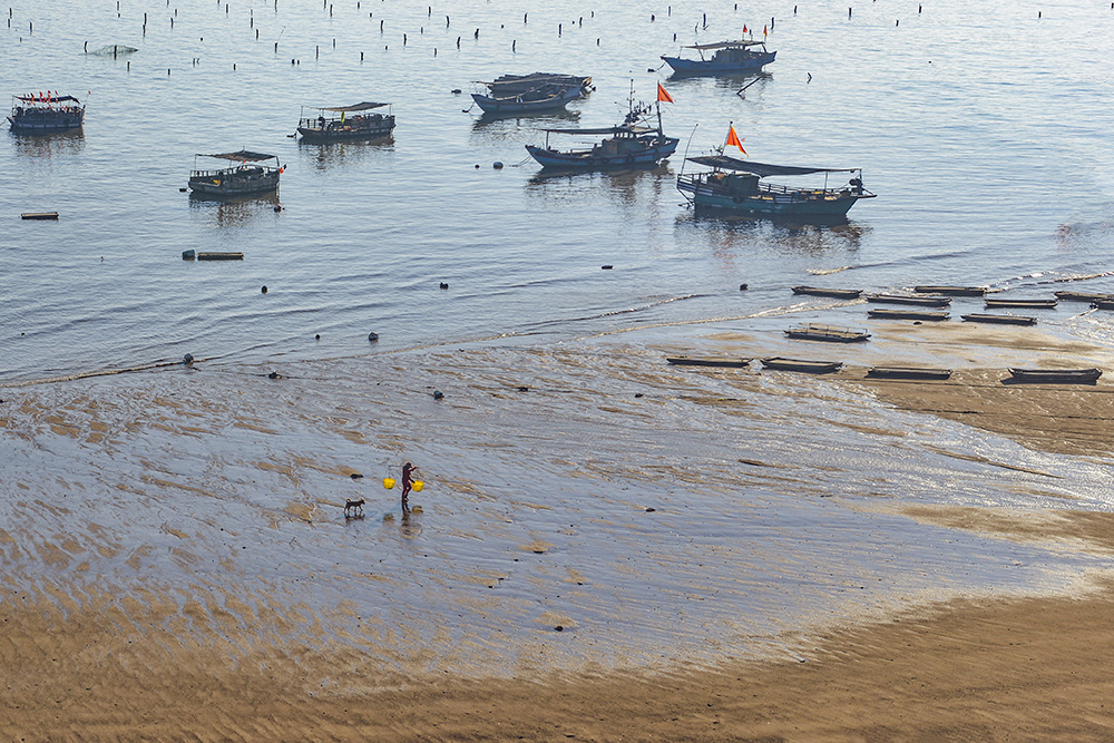 赶海人-"难忘下党杯"第十届宁德好风光全国摄影艺术展投稿区-大众摄影