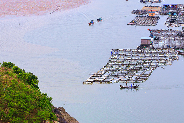 滩涂养殖