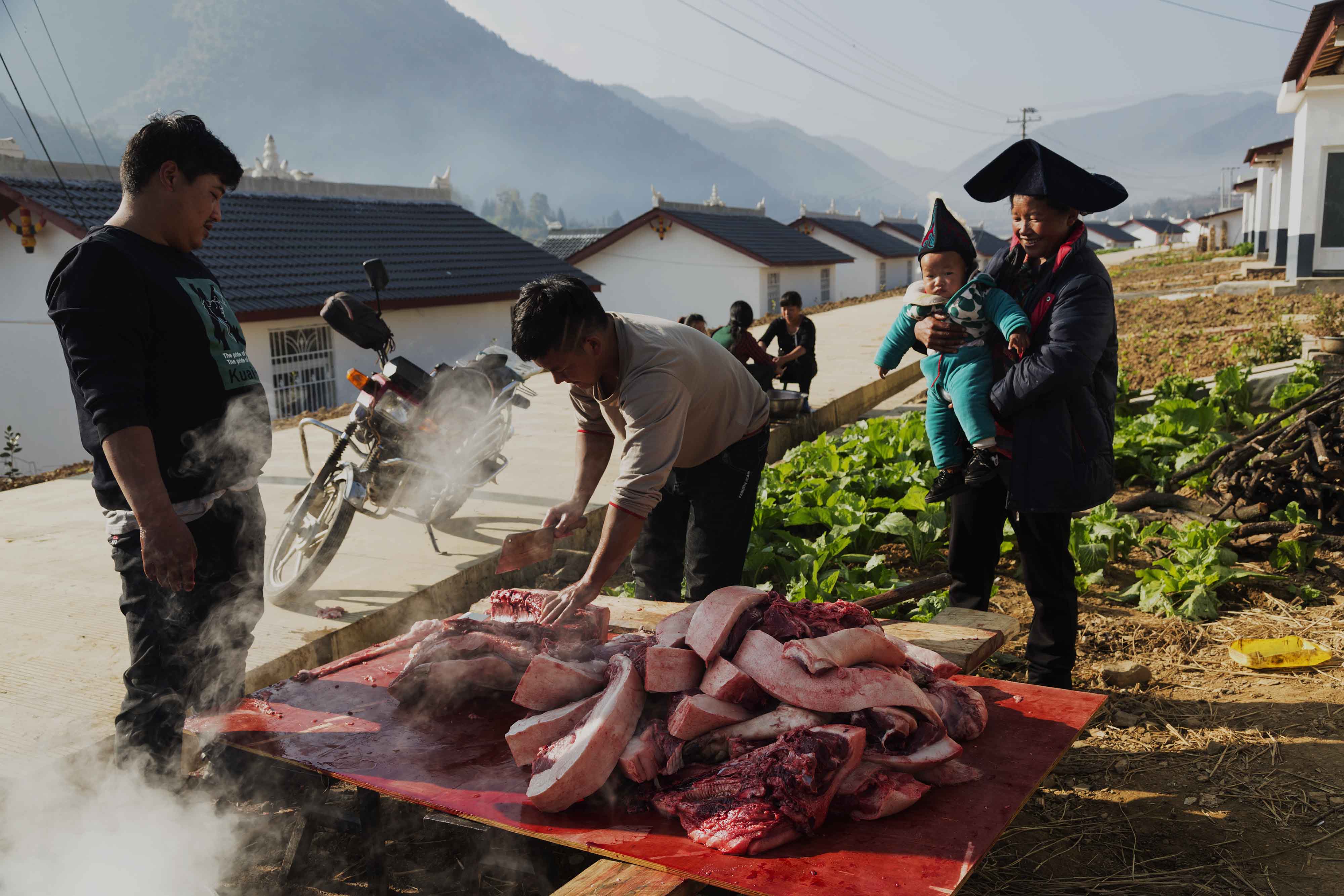 彝族过新年,杀年猪.