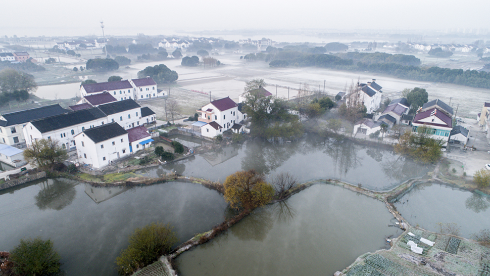 12.18摄于无锡市鹅湖镇甘露