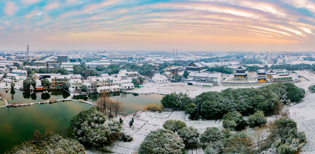 12.31拍摄于无锡市鹅湖镇甘露