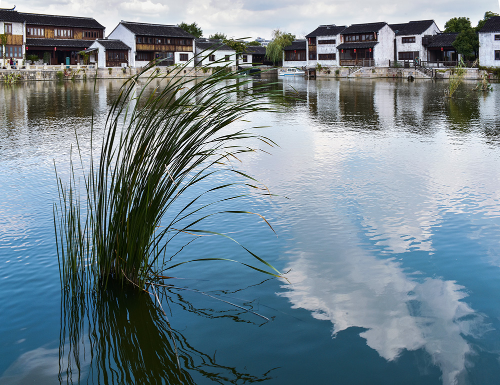 锦绣江南-第二届"摄影小镇——鹅湖"全国摄影大展投稿区-大众摄影网