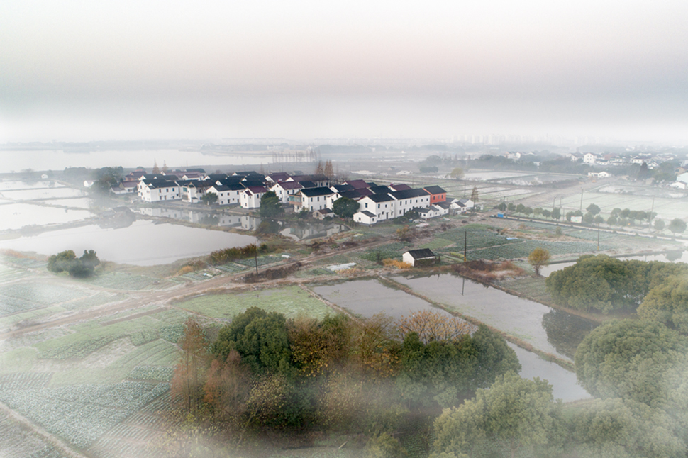 拍摄于无锡市鹅湖镇