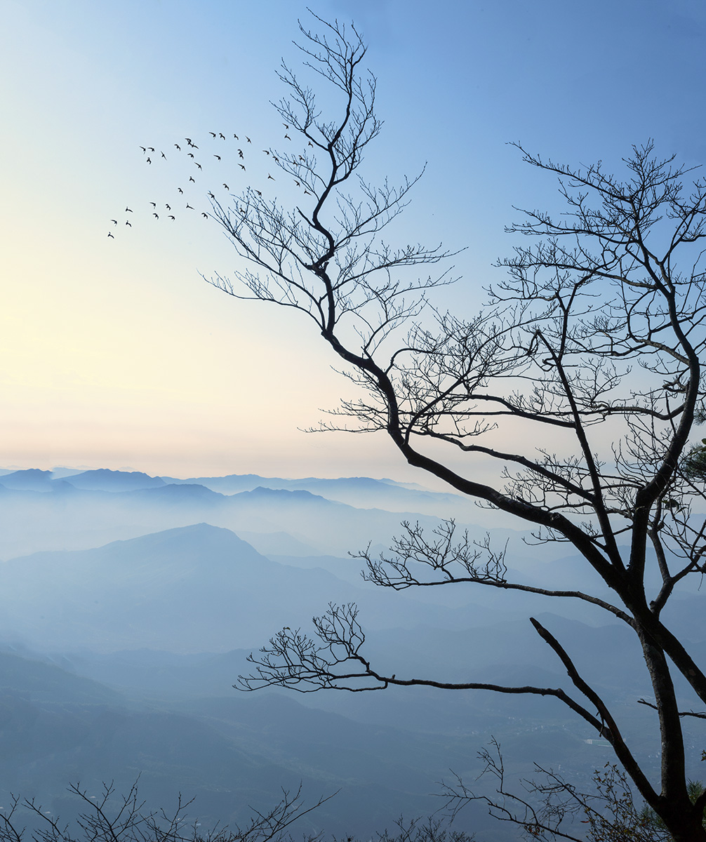 空山鸟语