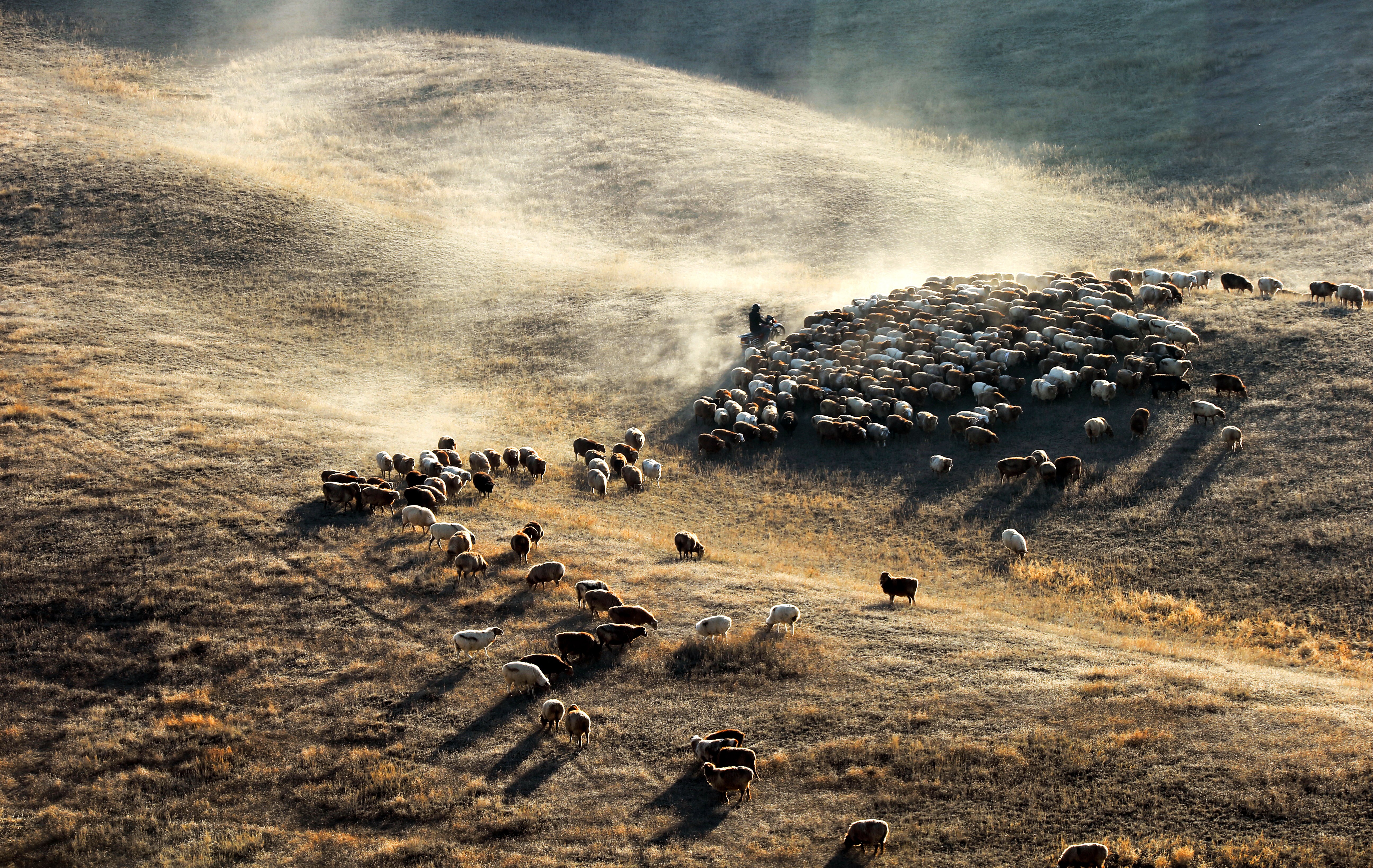 新疆玛纳斯天山牧场.拍摄于2018.11月