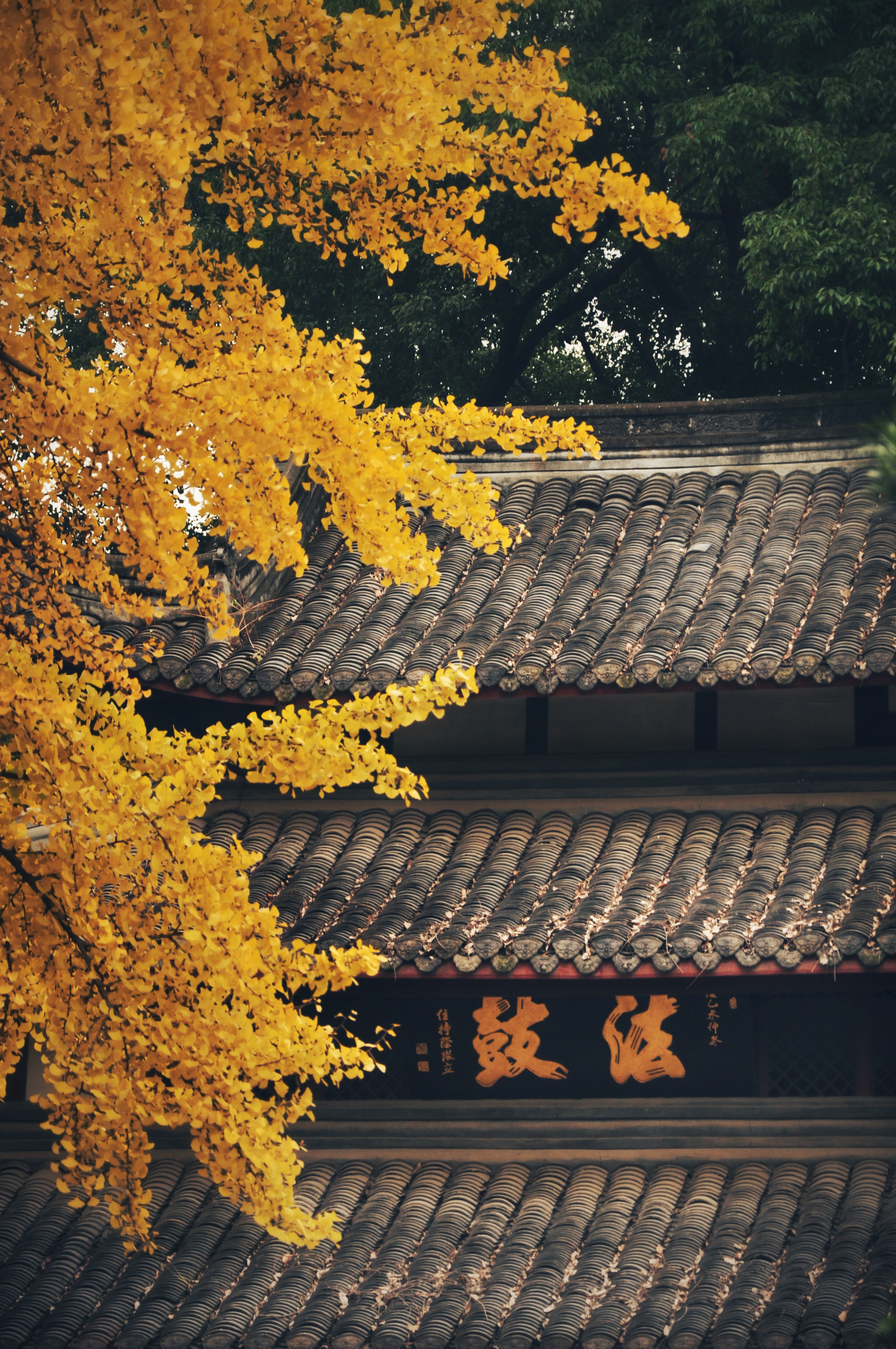 禅意-"摄影小镇——禅韵宝峰" 全国摄影大展投稿区-大众摄影网