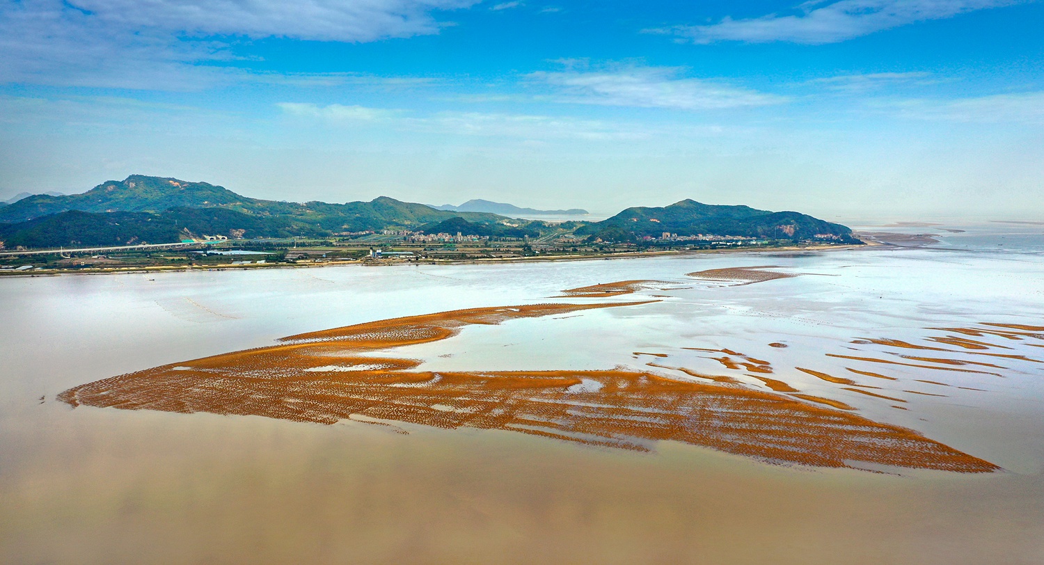 《湿地滩涂》——蔡秀云 摄