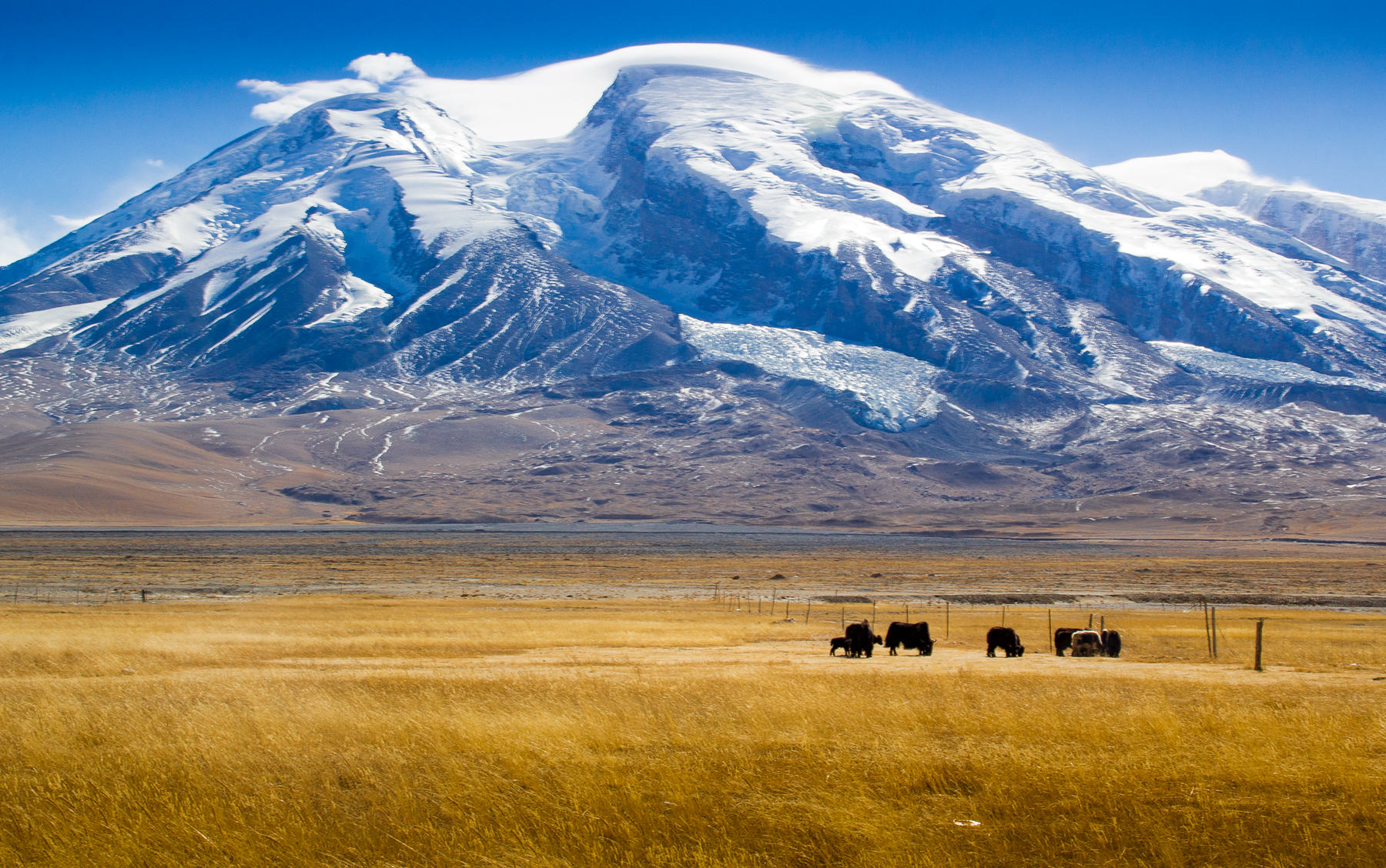 慕士塔格峰角下