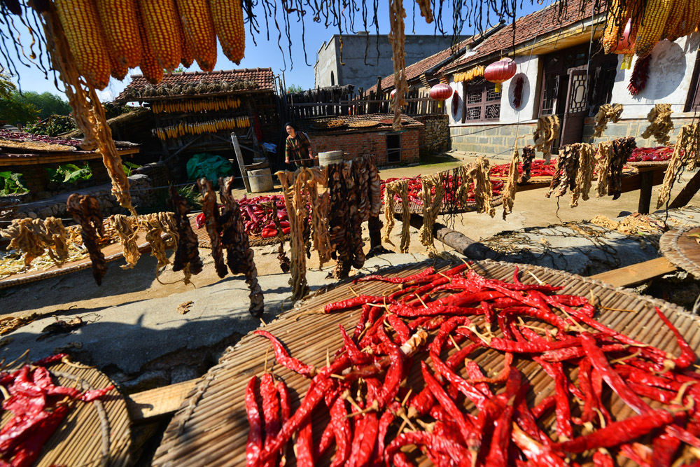 今年有是一个丰收年,人民生活提高了,家家户户过上了好日子.
