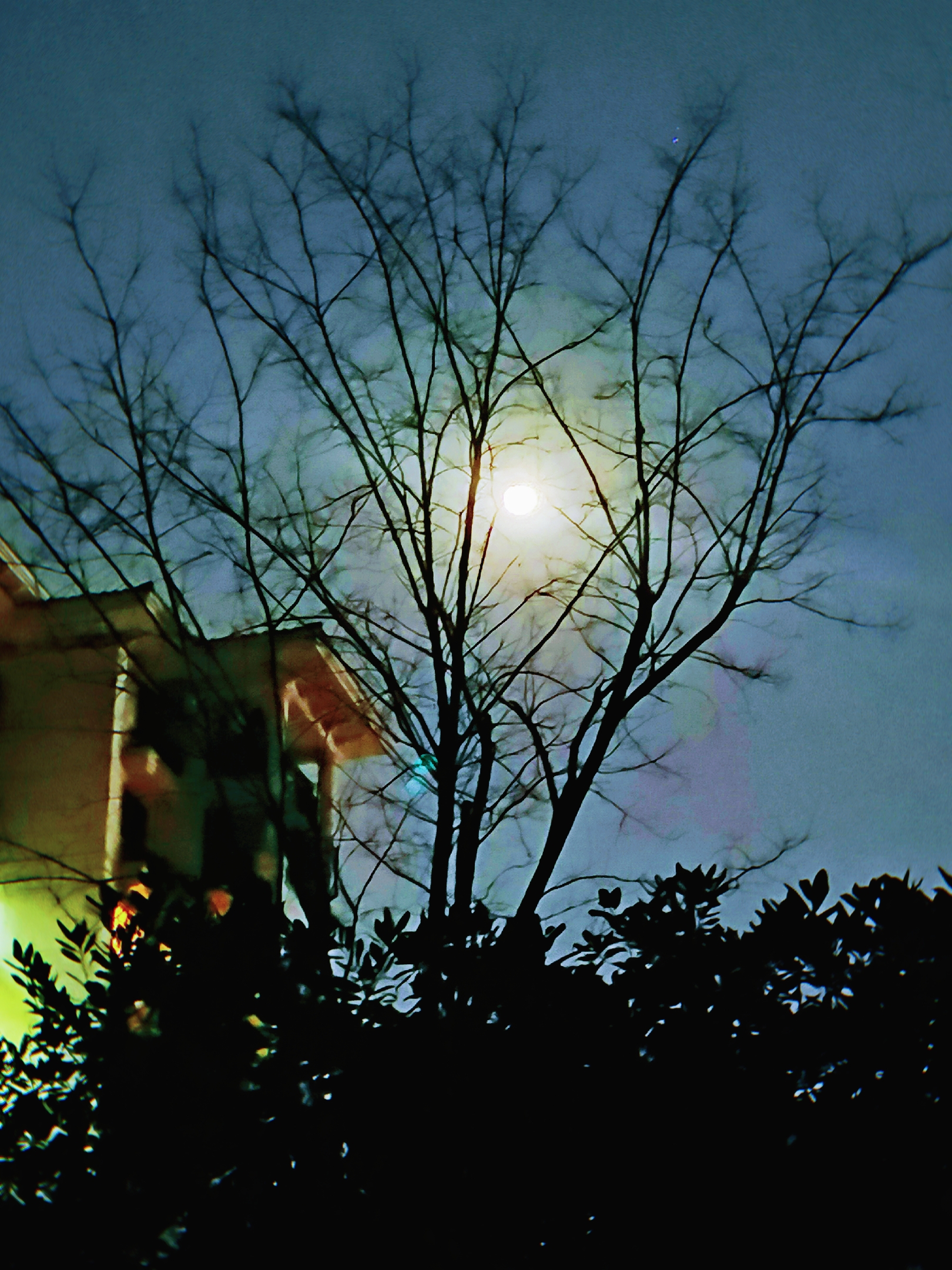 月色撩人心自静